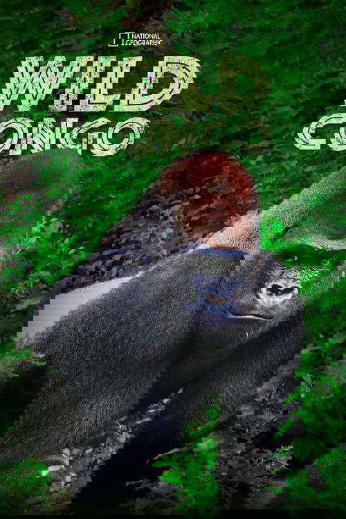 1IiqkZ34O6FpfdN11rN1mW3uphX.jpg